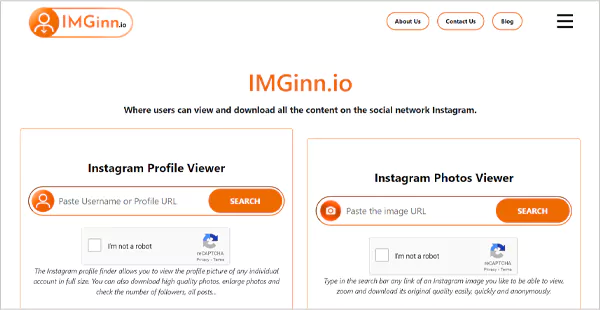 IMGinn io website