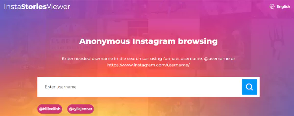 Insta Story Viewer website