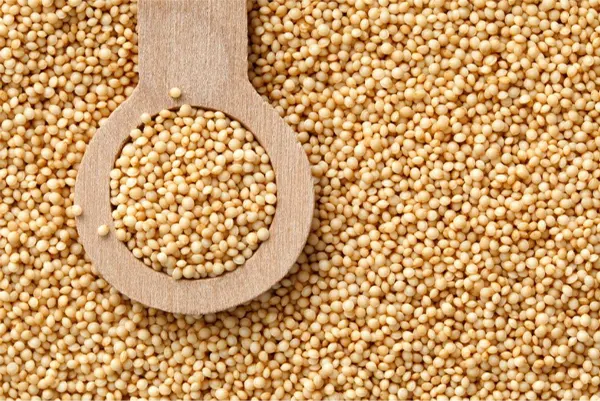 Amaranth Grains