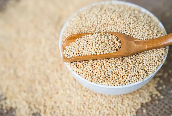 Millet Grains