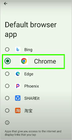 Once this is selected it means that the browser has been switched