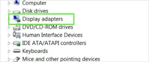 Select Display adapters