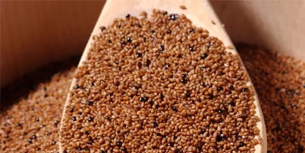 Teff Grains