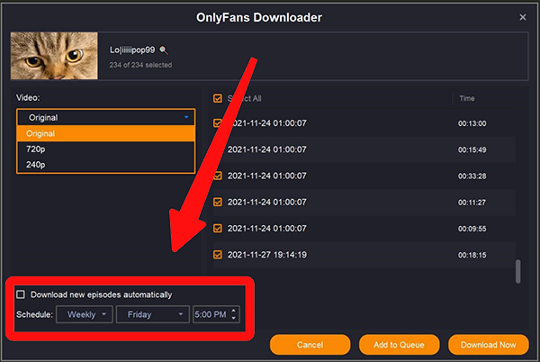 OnlyFans Downloader