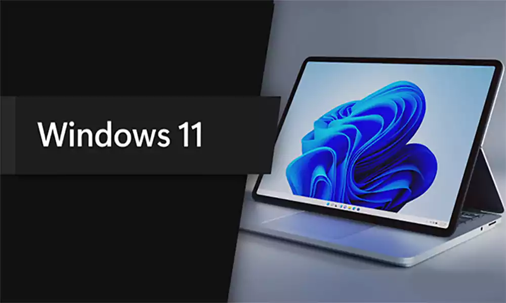 d-Windows 11