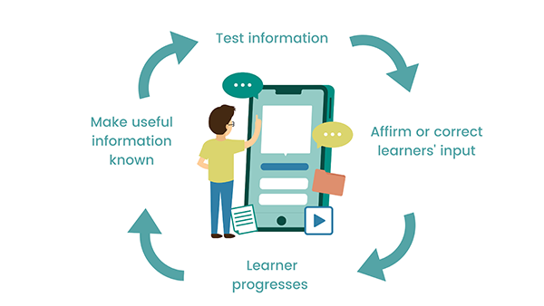 Importance of instant feedback in the learning process 