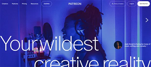 The Patreon Platform 