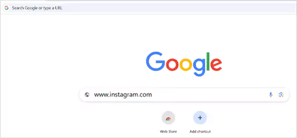 Enter the official URL of Instagram