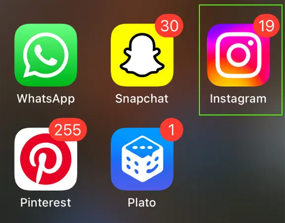 Go to the Instagram application