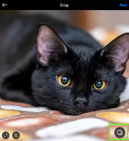 Head over to the two square boxes that are overlapping each other icon