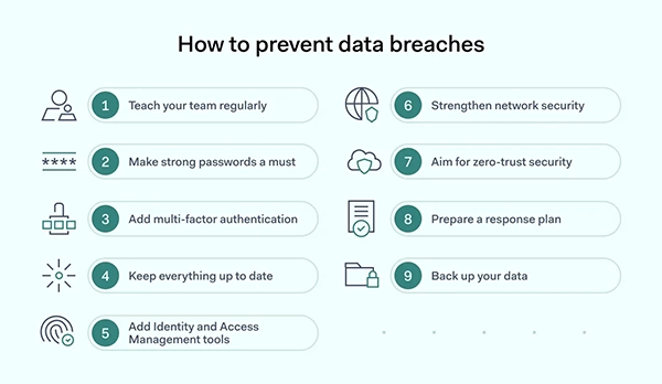 How to Prevent Data Breaches 