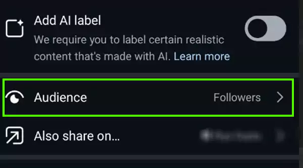 Navigate to the Audience option