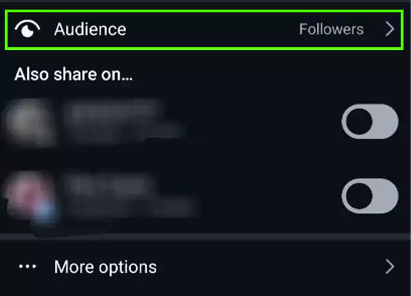 Navigate to the Audience options