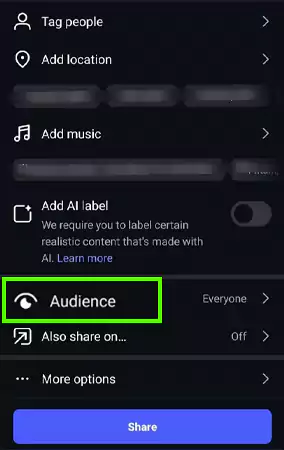 Navigate to the Audience optionss