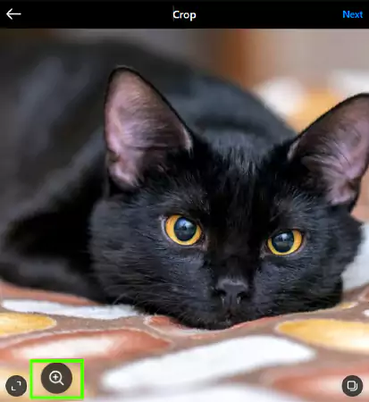 Navigate to the magnifying glass icon