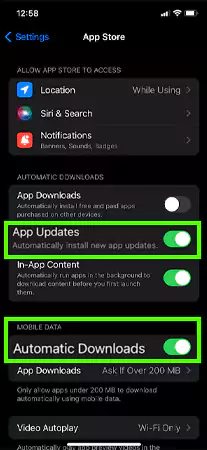 Tap on App Updates and Automatic Downloads