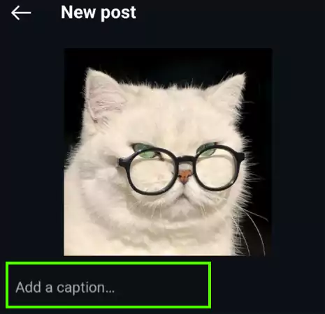 Write an interesting caption and add trending hashtags in it