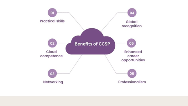 benifits of CCSP