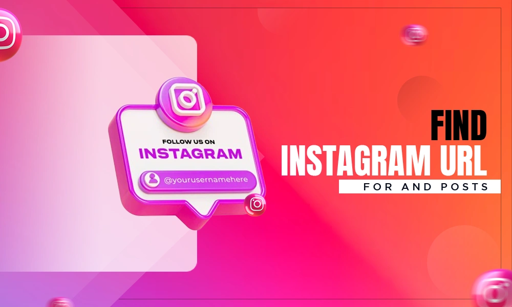 insta url find