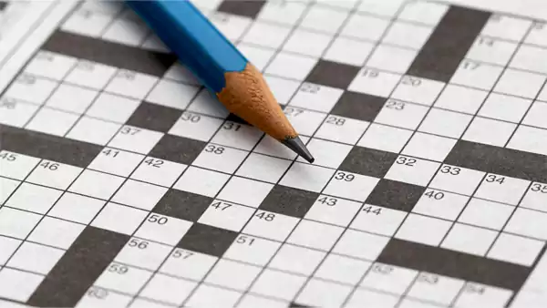 Bumped Things NYT Crossword