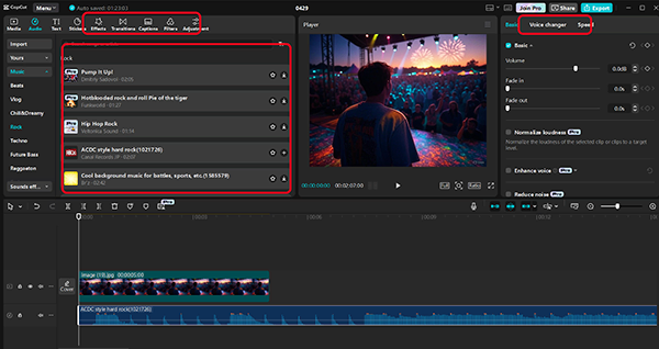 Customize video