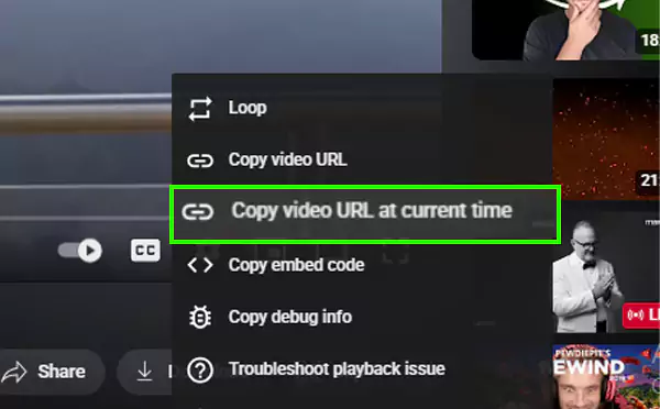 YouTube Link With Timestampp