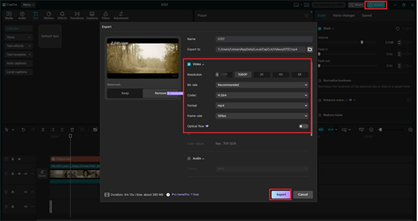 Export and Share
