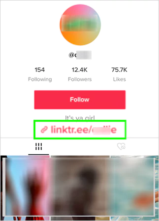 Linktree on TikTok Bio