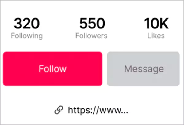 TikTok Link in Bio