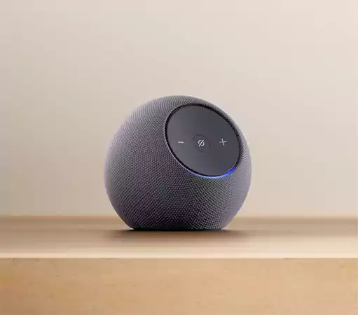 Amazon Echo Dox Max