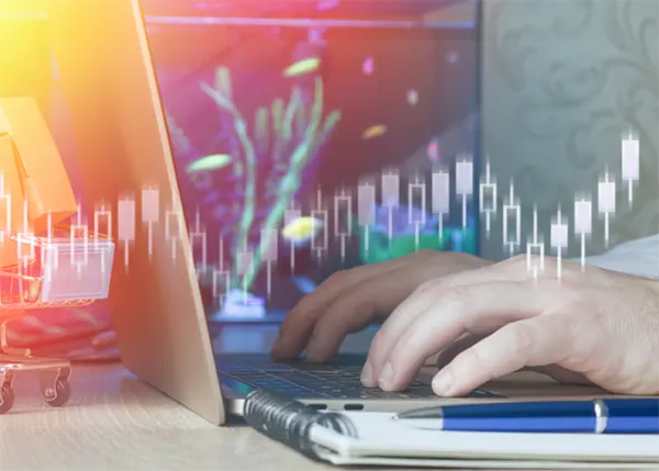 An online investment concept