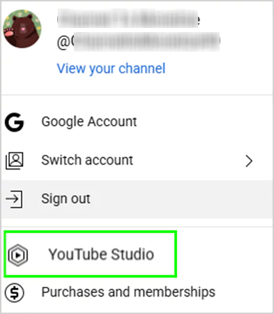 Go for the YouTube Studio option from the dropdown menu
