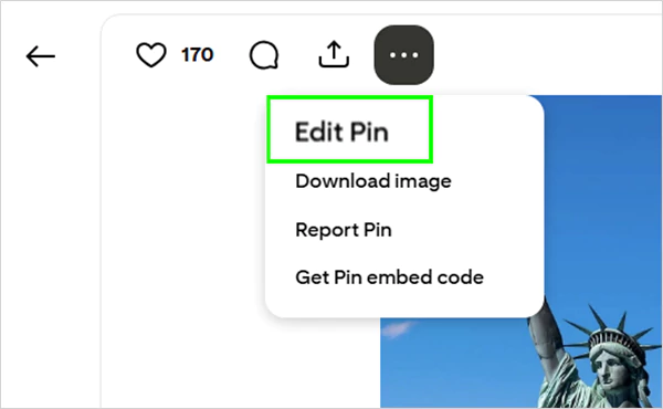 Navigate to the Edit pin option
