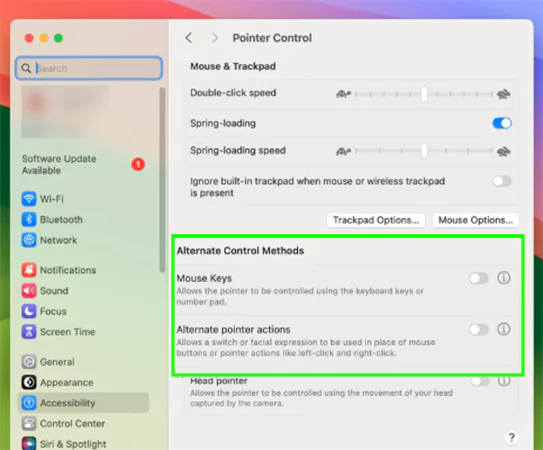 Toggle on both the options