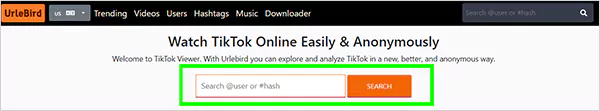 Type the user or hash in the search box