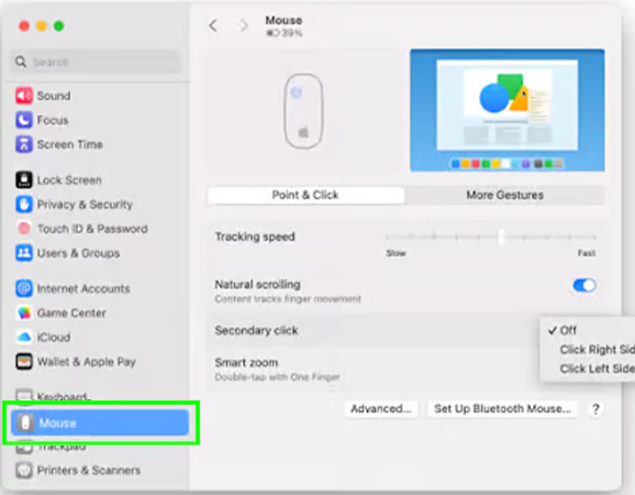 scroll down to the Mouse option