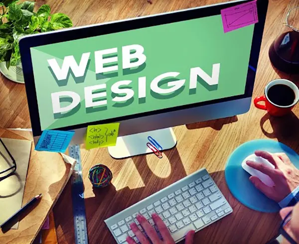 professional web design 