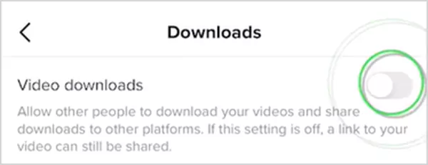 Video Downloads Setting