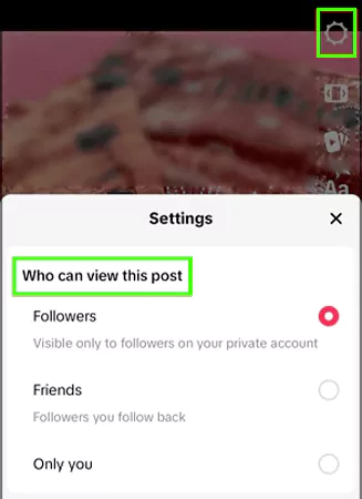 Who can view this post setting