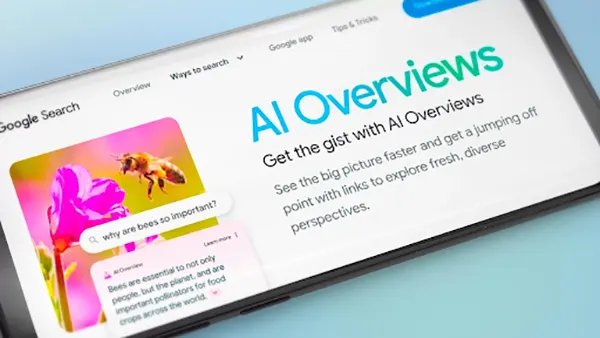 AI Overview 