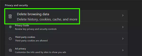 Delete browsing data