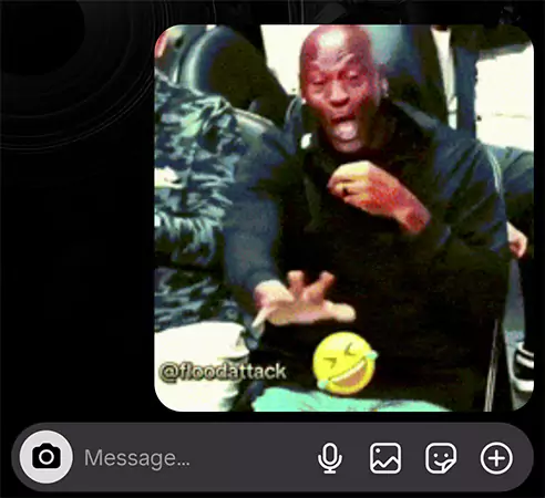 GIF sent in the Instagram DM