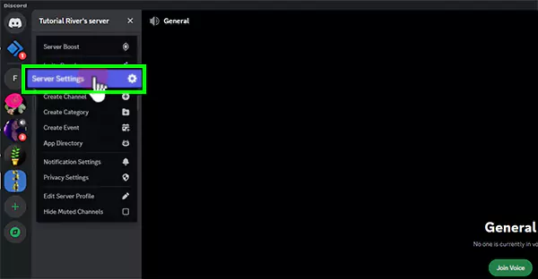 Click on Server Settings