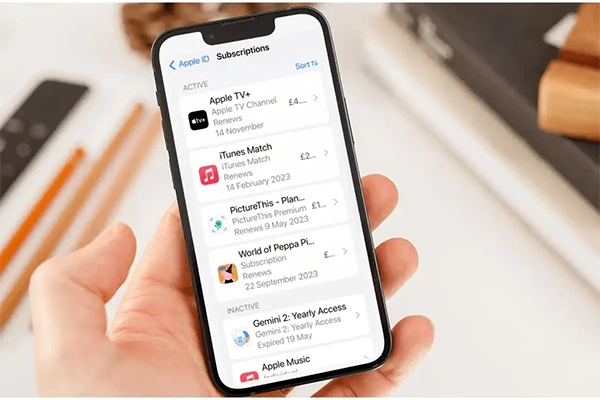 Guide to Cancel Apple Subscriptions