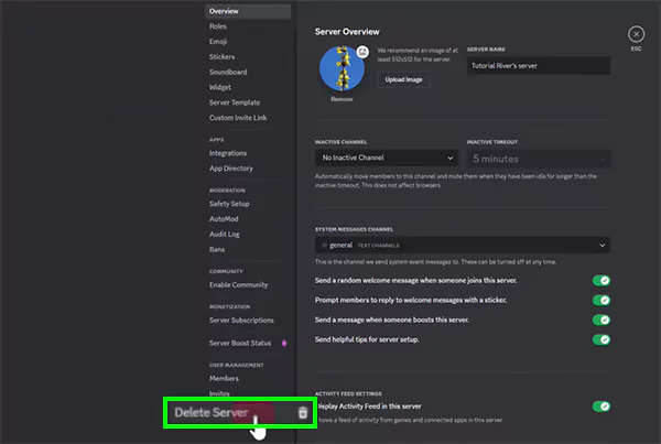Scroll down to the Delete Server option and click on it