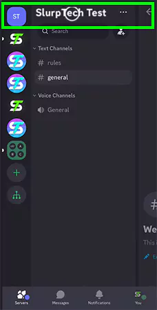 Tap on Your Servers Name