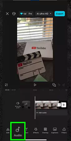 tap on the audio button