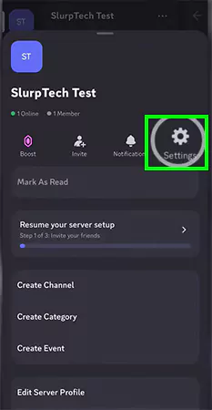 tap on the Settings button