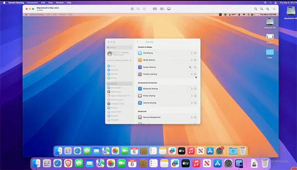 Screen has been shared now