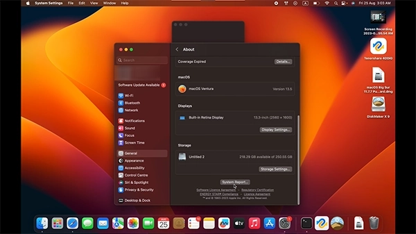 Click on system reports